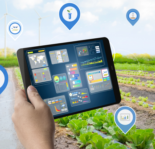 Orchard Management System Software Overview - Omex Infotech